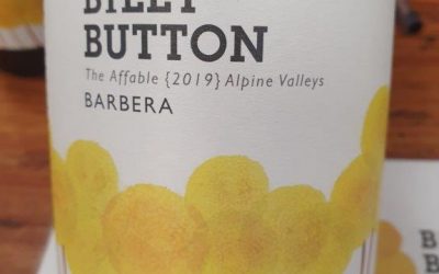 Billy Button The Affable Barbera 2019, Alpine Valley, Victoria